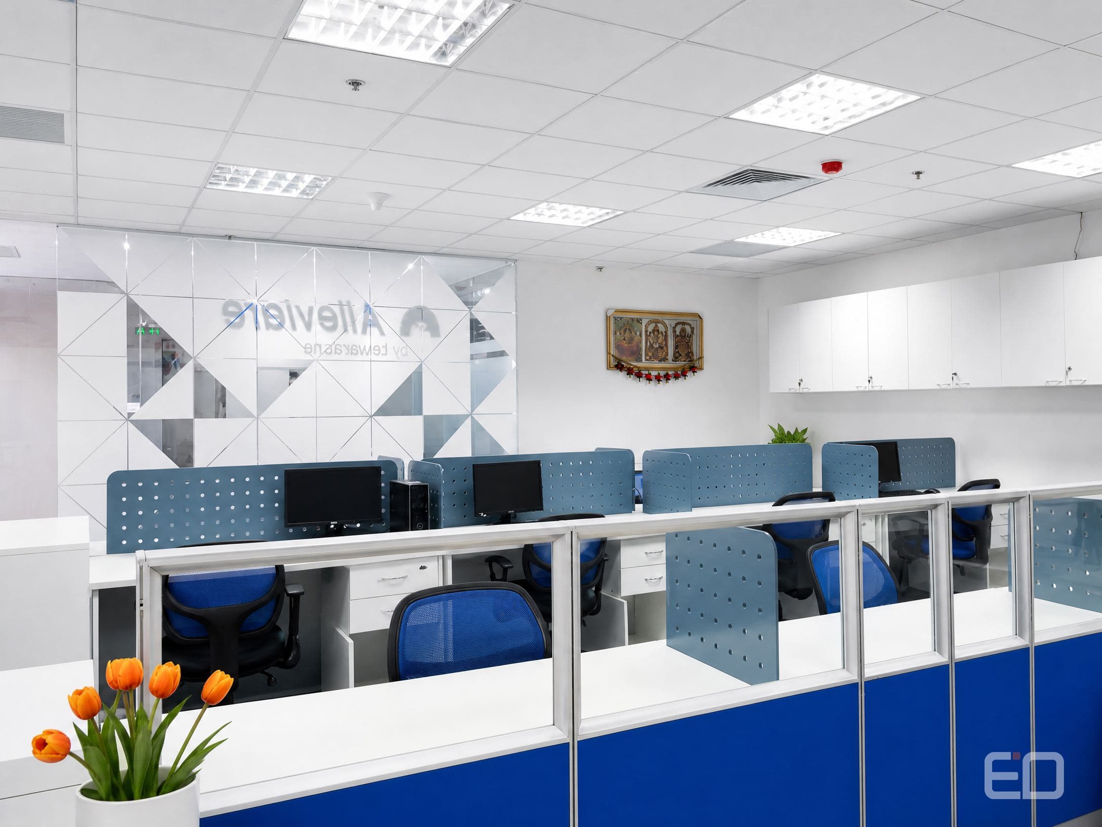 Alleviare Office 1